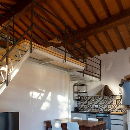 Le Pettegole Del Boschetto Villa Castiglione della Pescaia Phòng bức ảnh