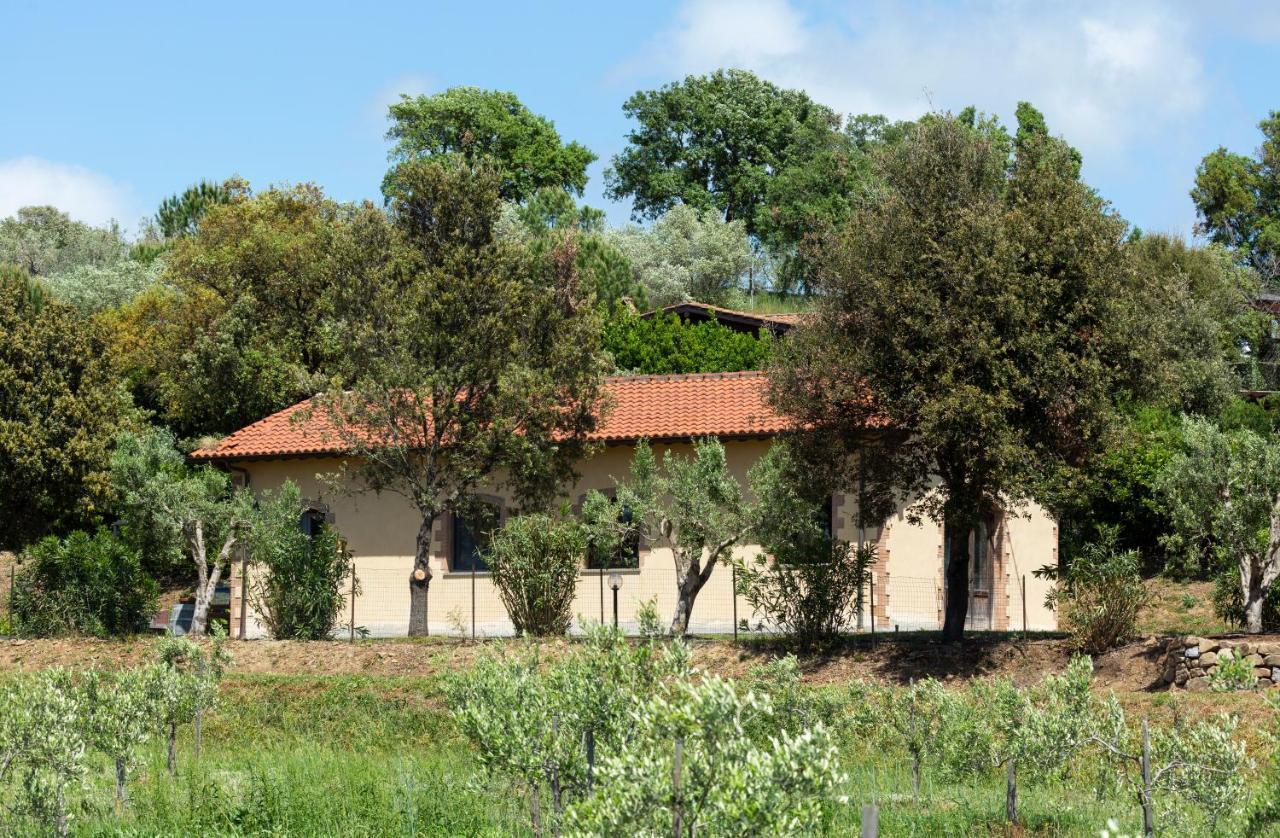 Le Pettegole Del Boschetto Villa Castiglione della Pescaia Ngoại thất bức ảnh
