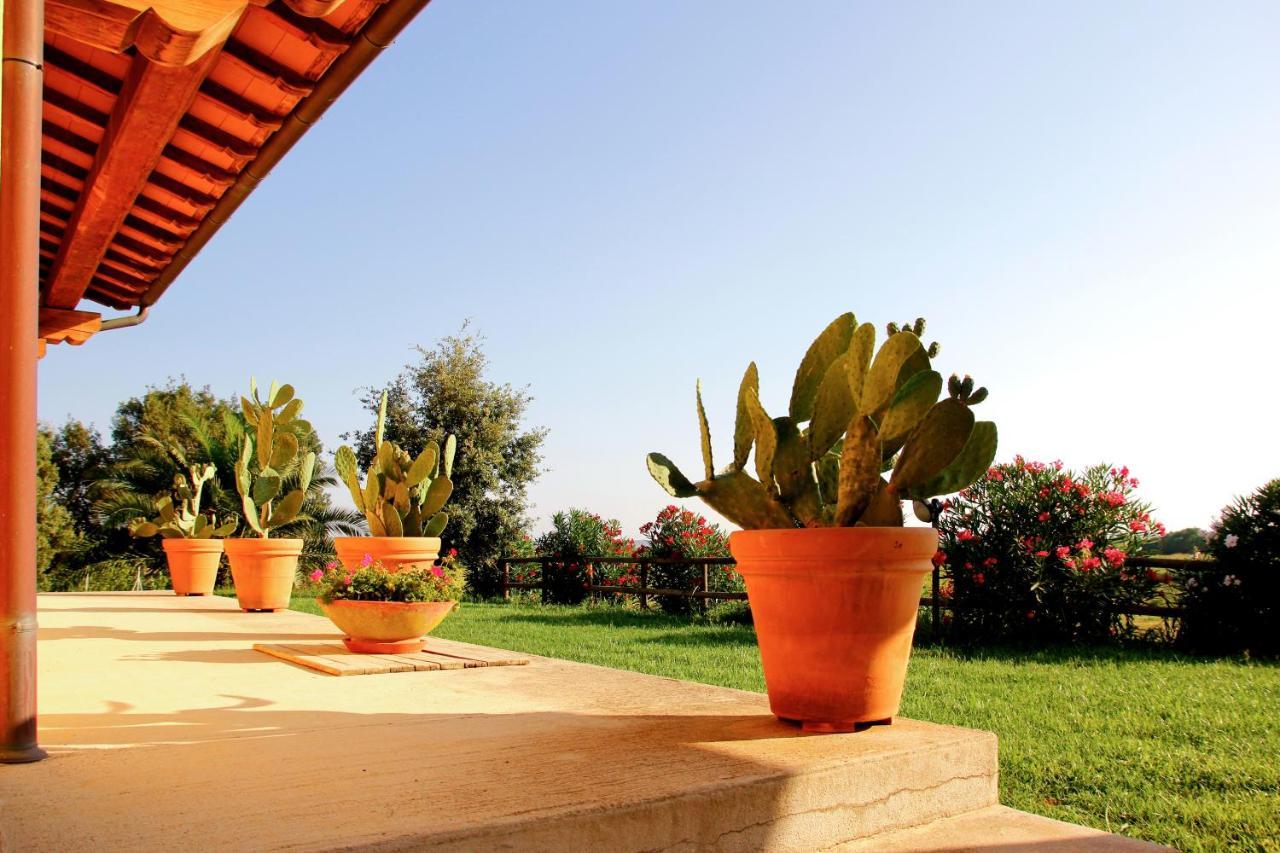 Le Pettegole Del Boschetto Villa Castiglione della Pescaia Ngoại thất bức ảnh
